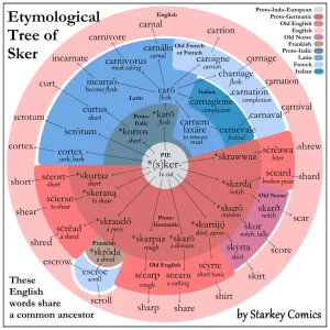 Etymology