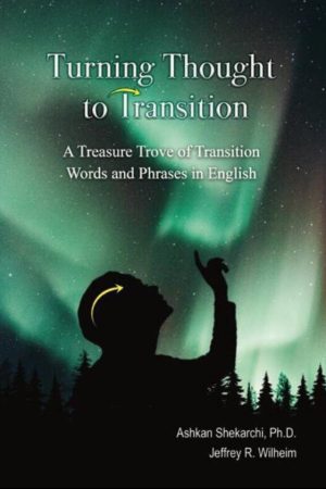 Transotion Cropped 3